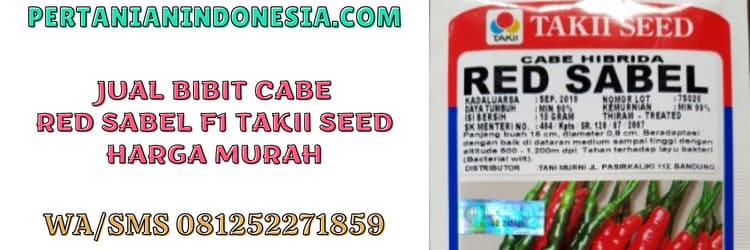 jual,bibit cabe,red sabel takii seed,murah,pertanian indonesia